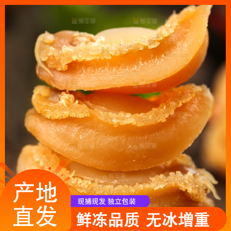 木底上的北海鲍鱼干
