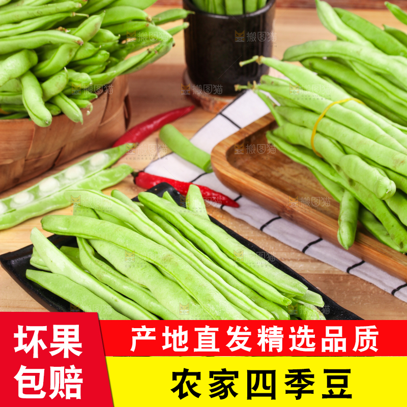 盘子里的无筋豆