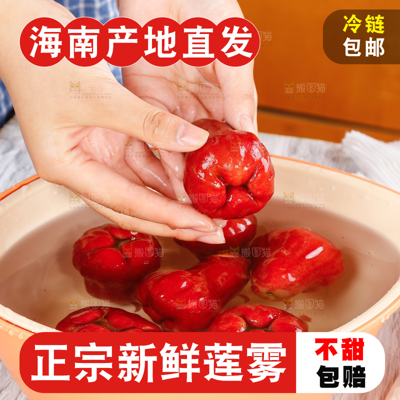 浅底上放着一盆红宝石莲雾