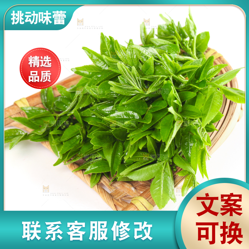 新鲜的花椒芽苗放在白底上