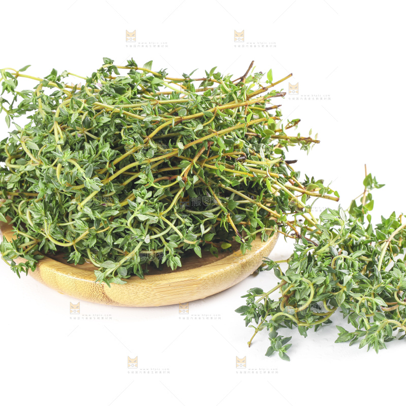 一盘麝香草放在白底上