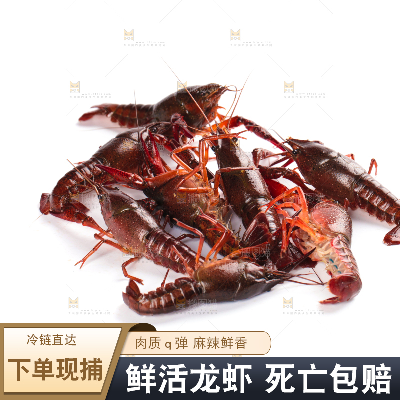 白底上放着潜江小龙虾