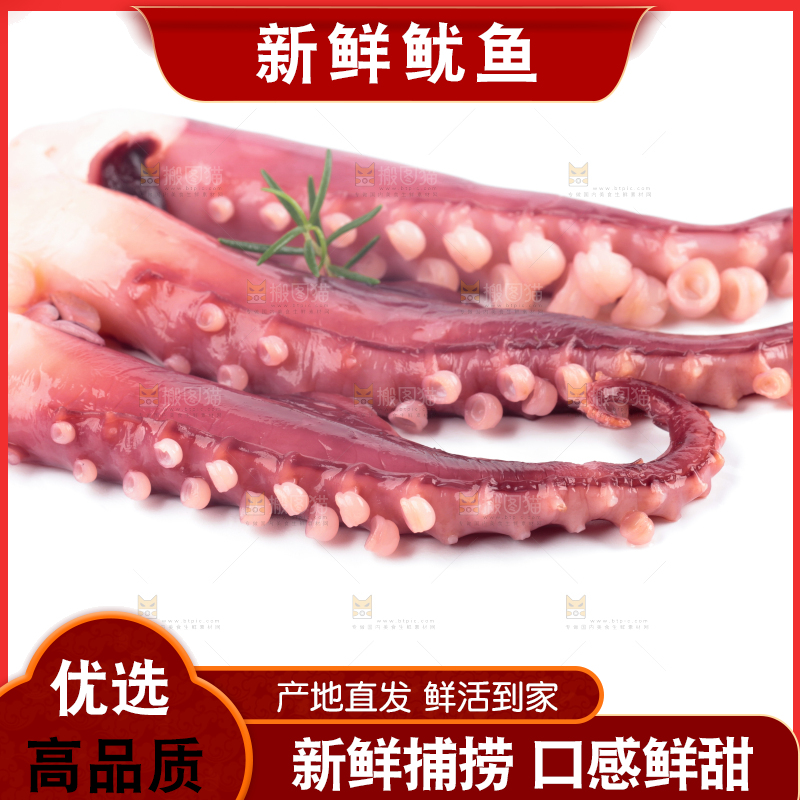 白底上的大鱿鱼