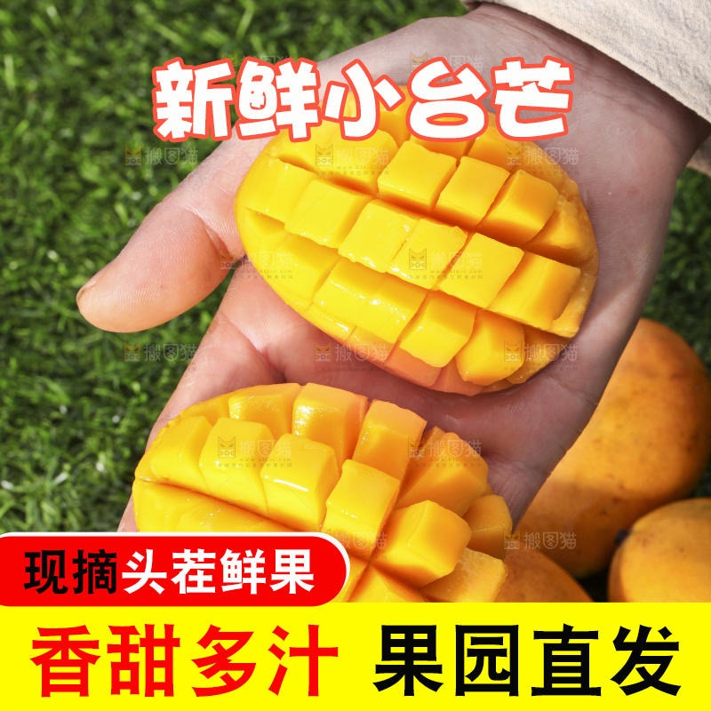 手拿切开的迷你小台芒