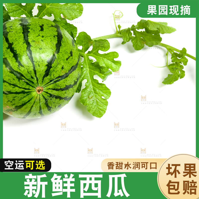 白底上放着新鲜的西瓜