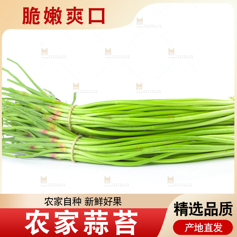 白底上的鲜嫩蒜苔