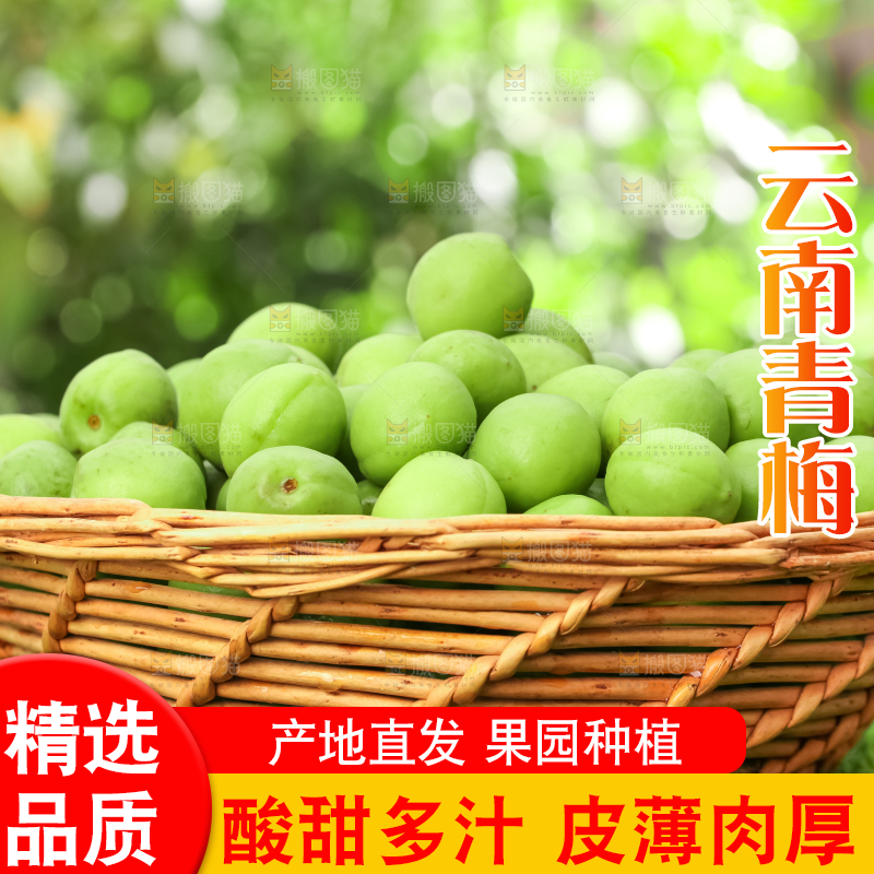 草地上放着一筐青梅