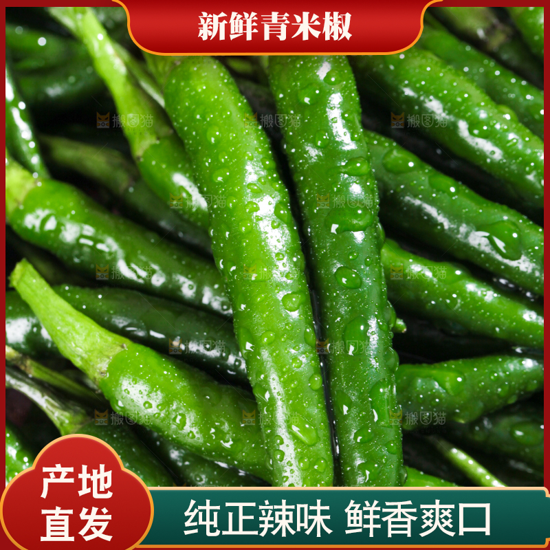 浅底上的朝天辣椒
