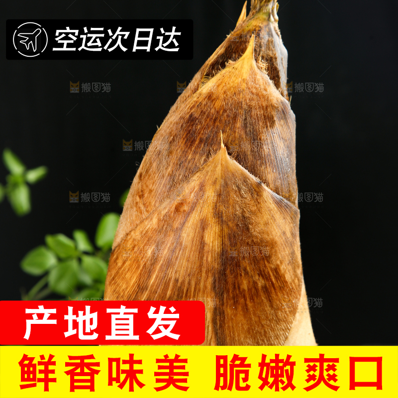 手拿竹笋