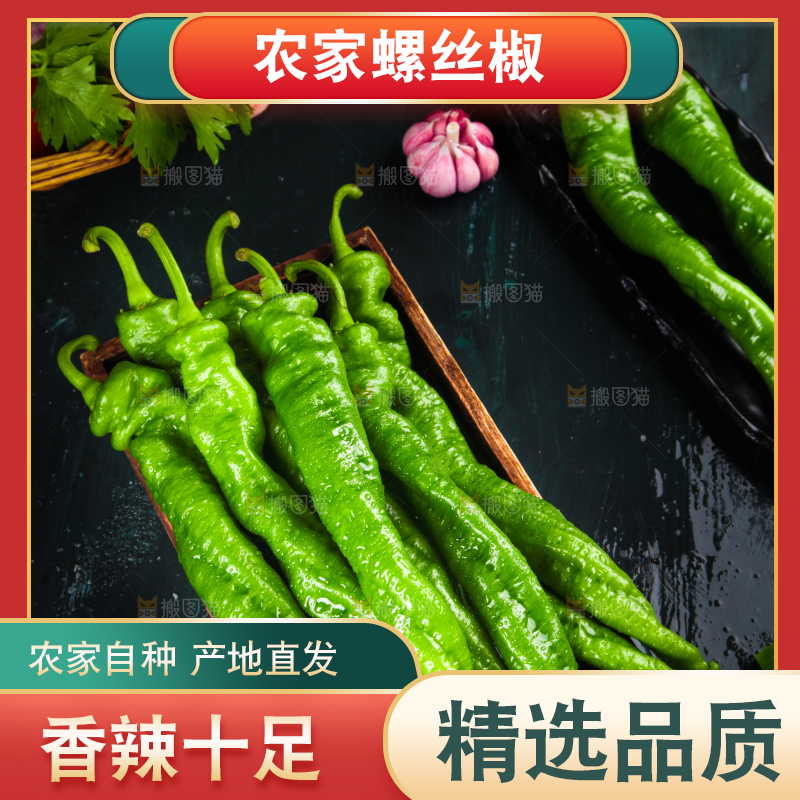 木板上放着陕西螺丝椒