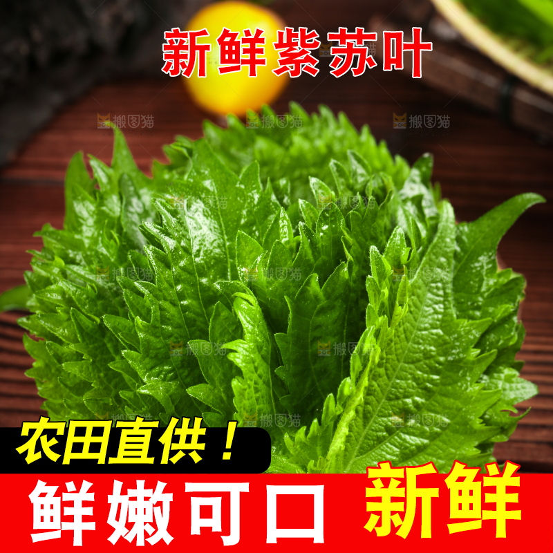 木板上的青紫苏叶