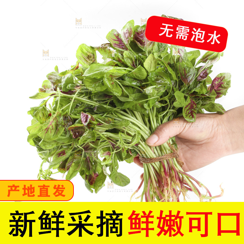 手拿红苋菜