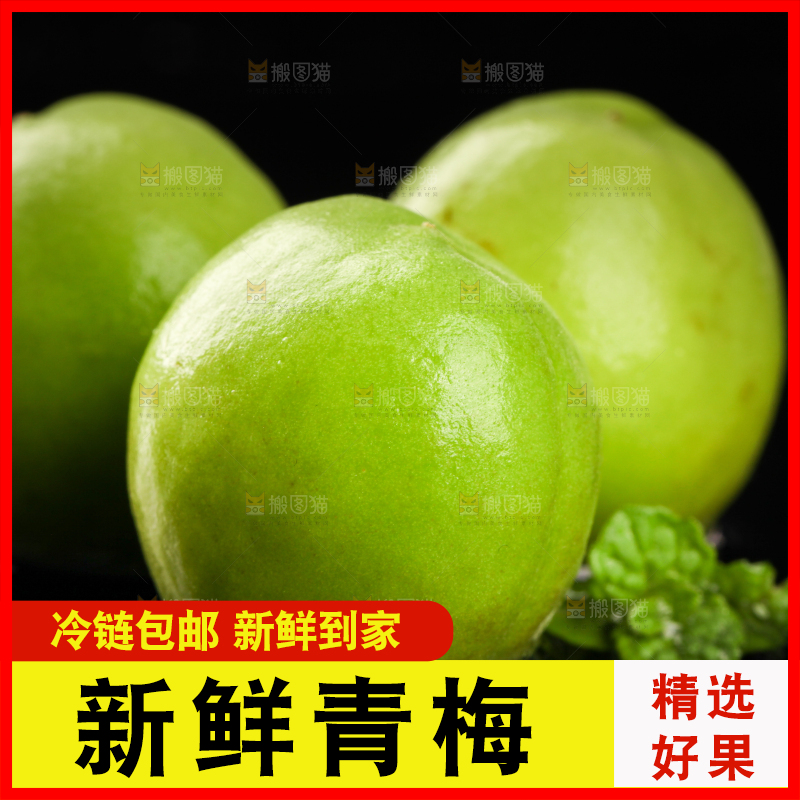 黑底上的青梅