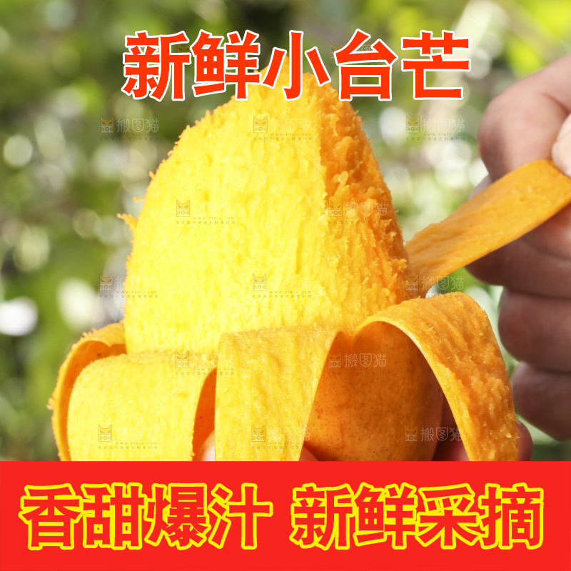 手拿剥皮的小台农芒