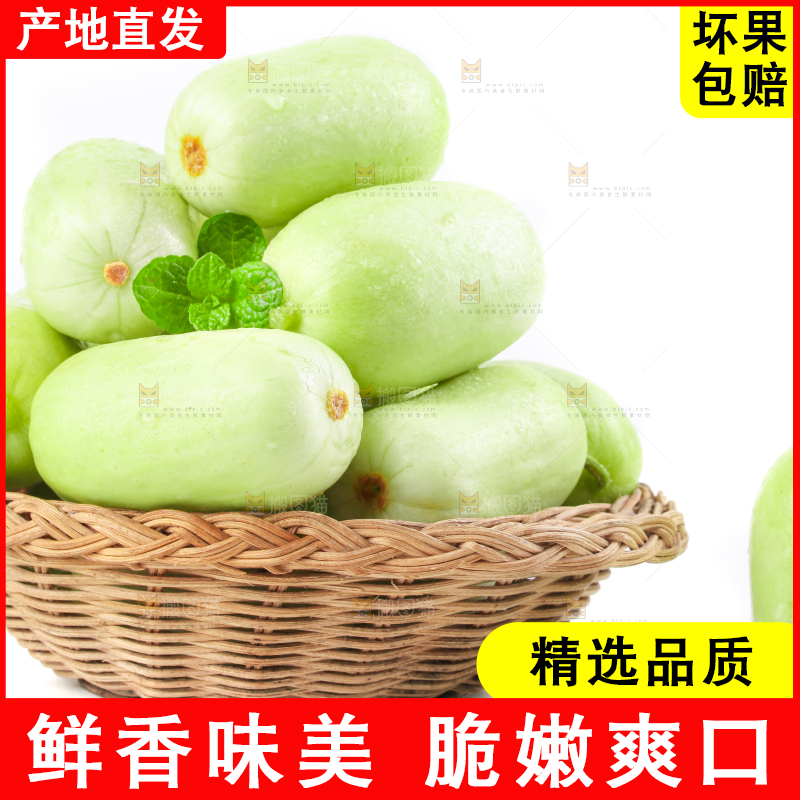 一筐玉女黄瓜放在白底上