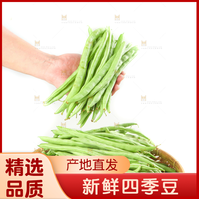 手里拿着鲜嫩四季豆