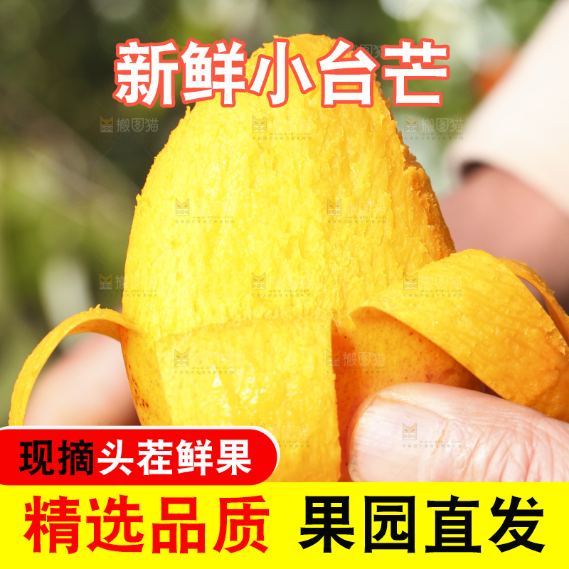 手拿剥皮的台农芒果
