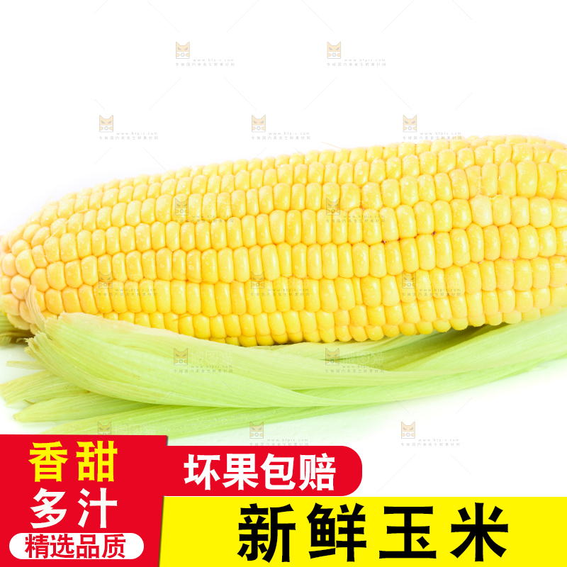 白底上放着黄玉米