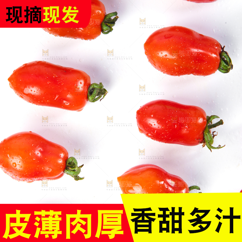 白底上摆放着丹东409小柿子