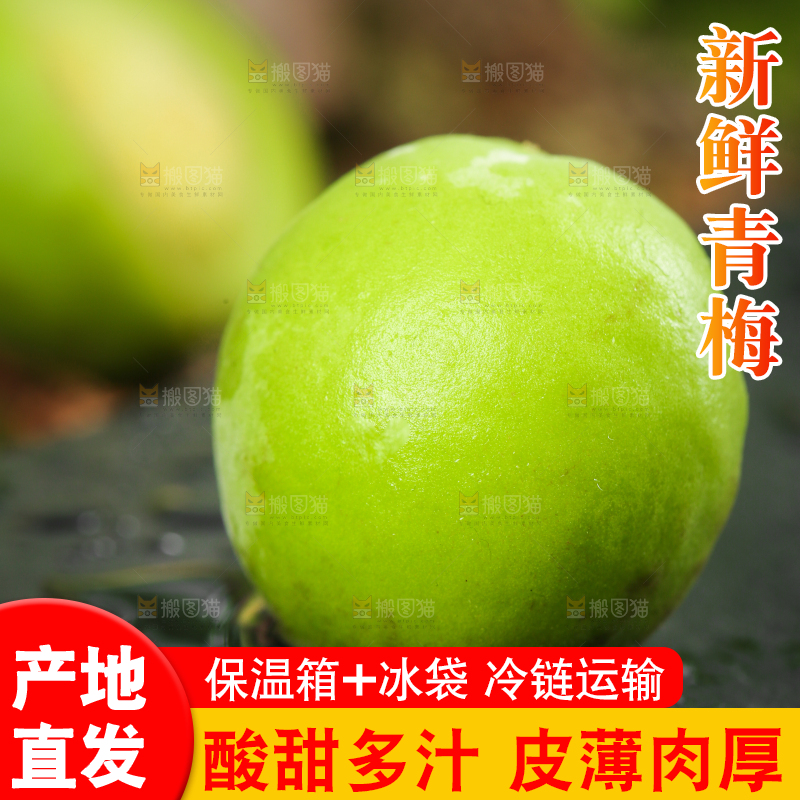 黑石板上放着野生青梅果