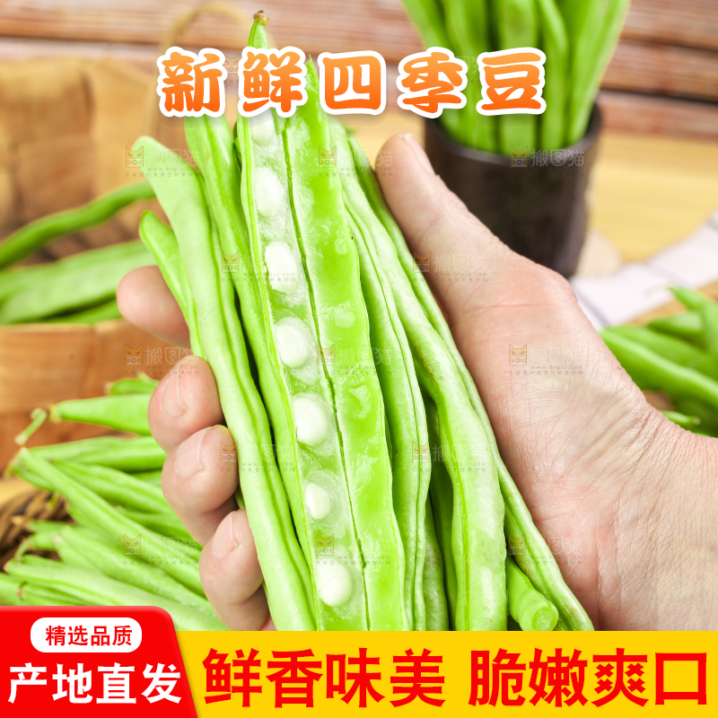 手里拿着云南新鲜四季豆