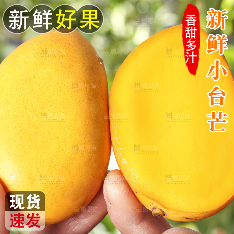 手拿剥皮的小台农芒