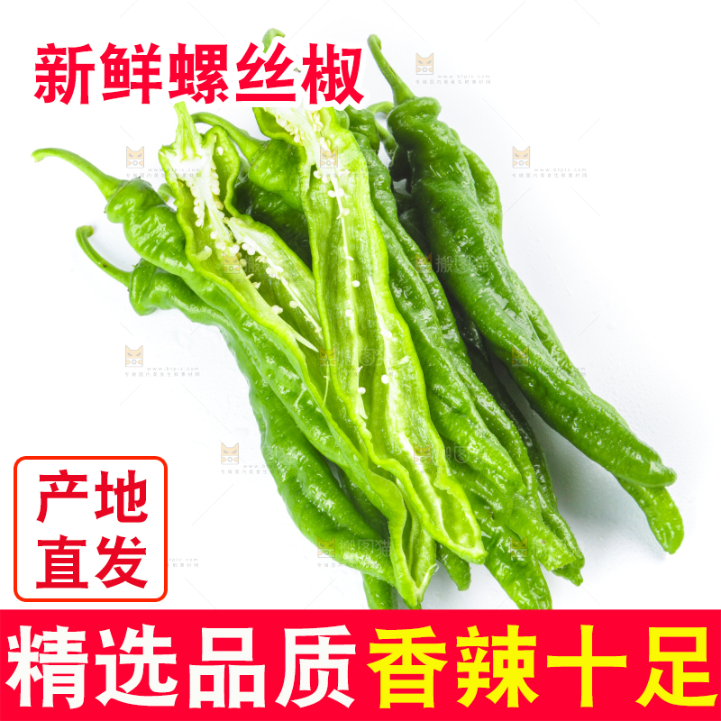 白底上摆放着青螺丝椒