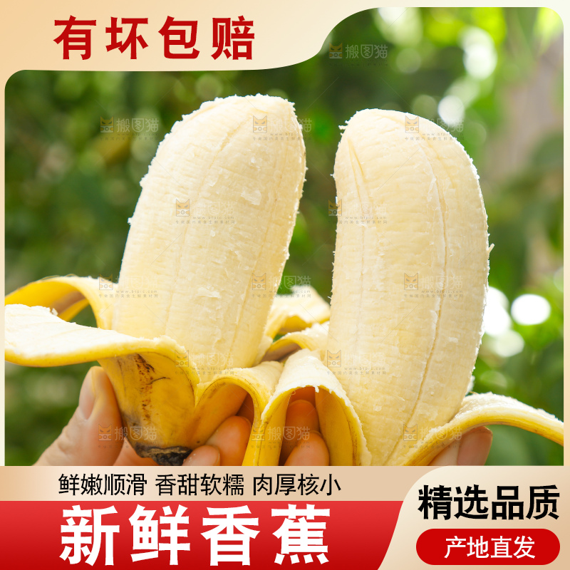 手拿剥皮的广西苹果蕉