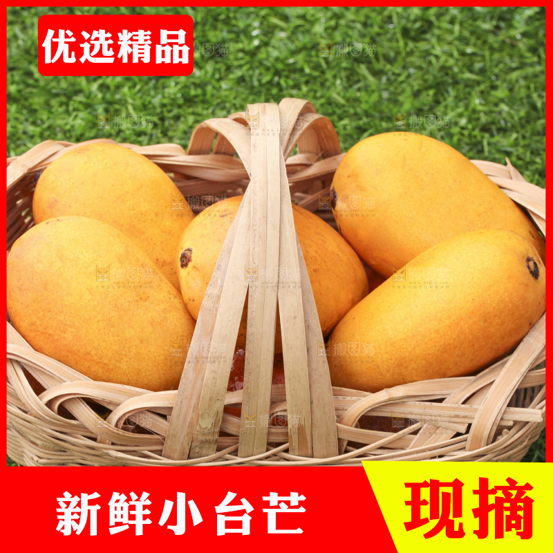 草地上放着一篮小台芒