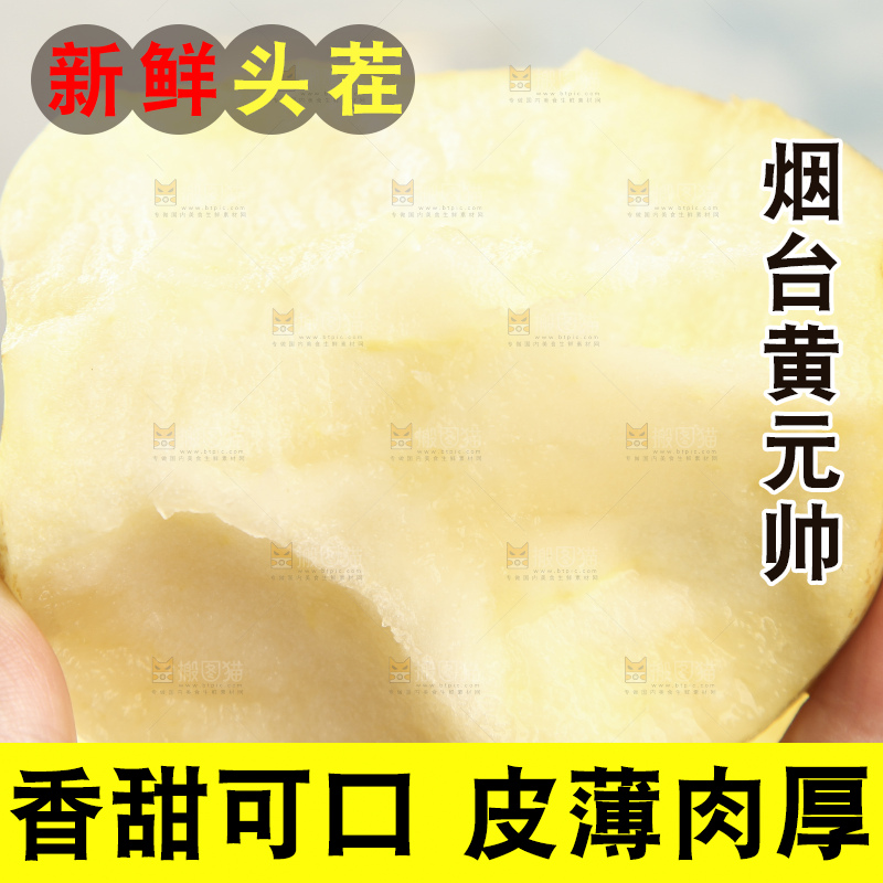 手拿烟台黄金帅苹果