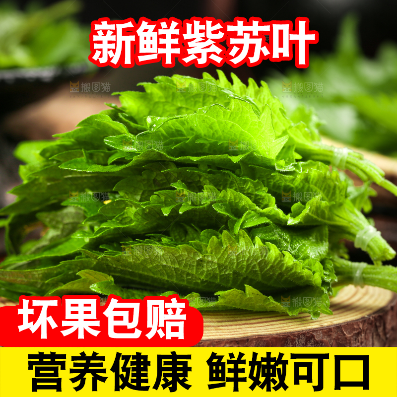 木板上的青紫苏叶