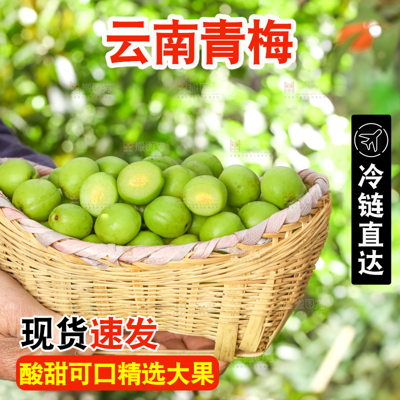 手拿一筐云南大理青梅