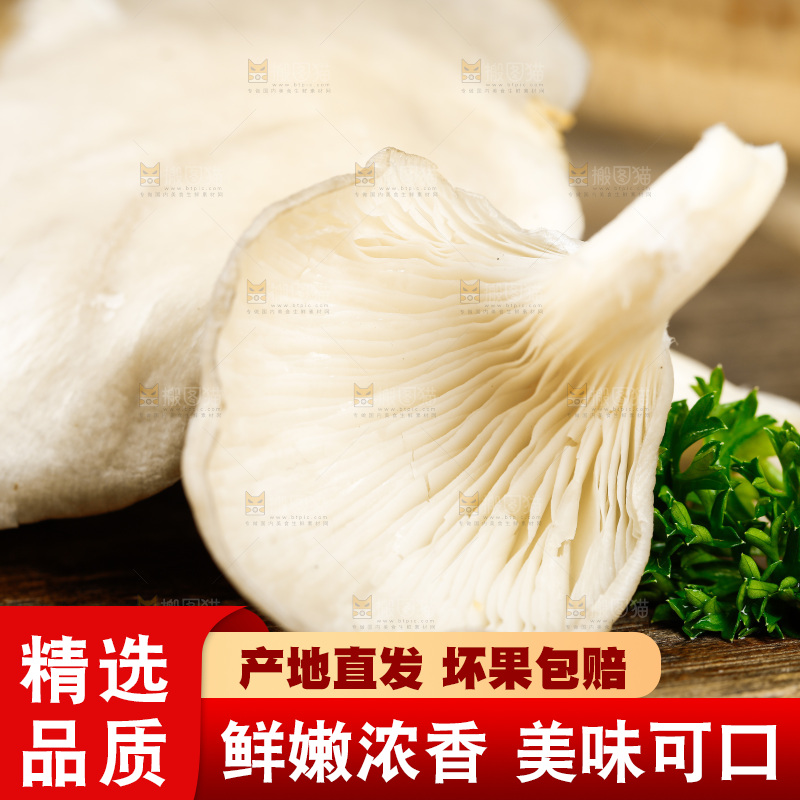 木底上的新鲜平菇