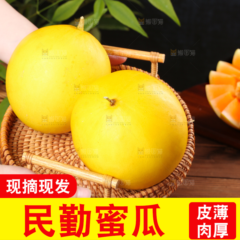 手端一盘黄河蜜瓜