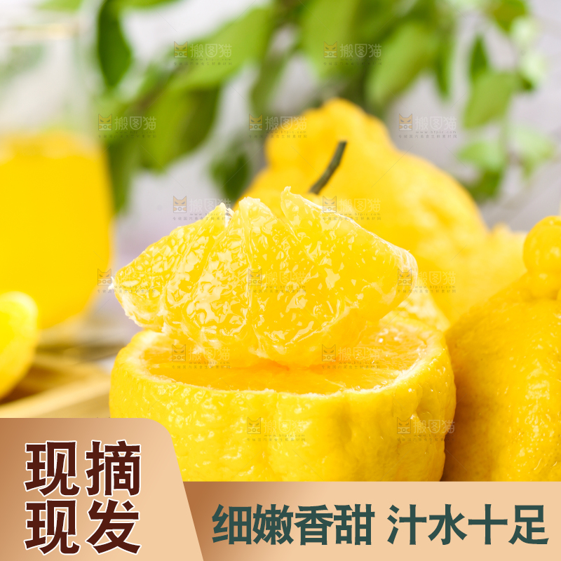 木板上的四川柠檬不知火