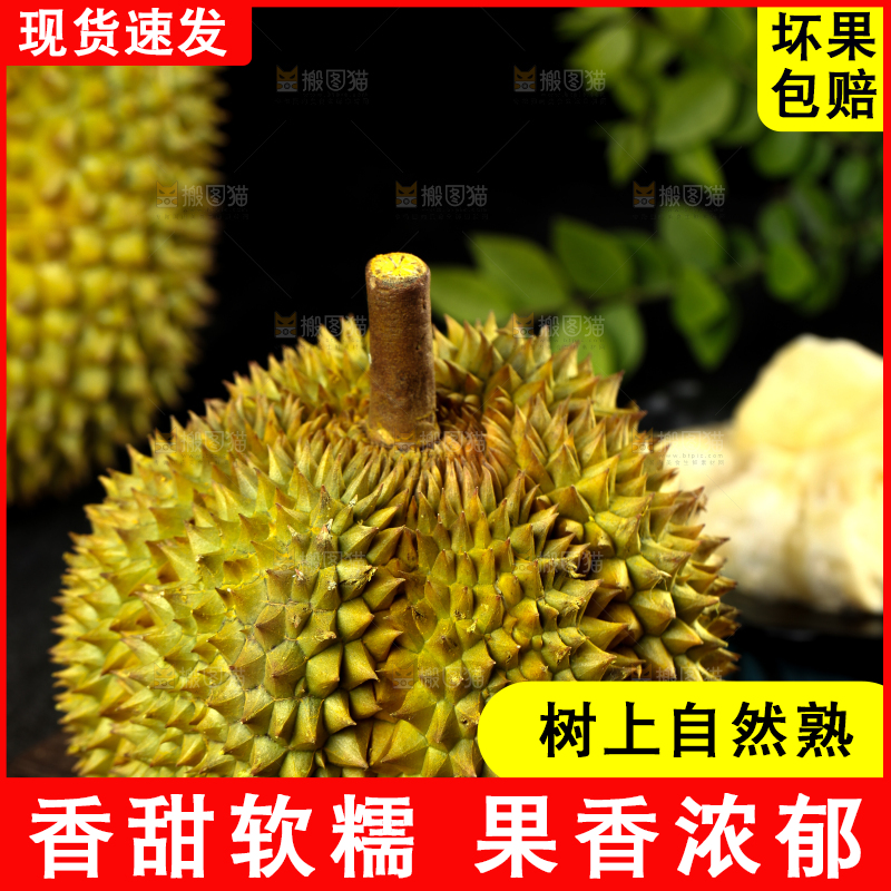 盘子里装着泰国甲仑榴莲