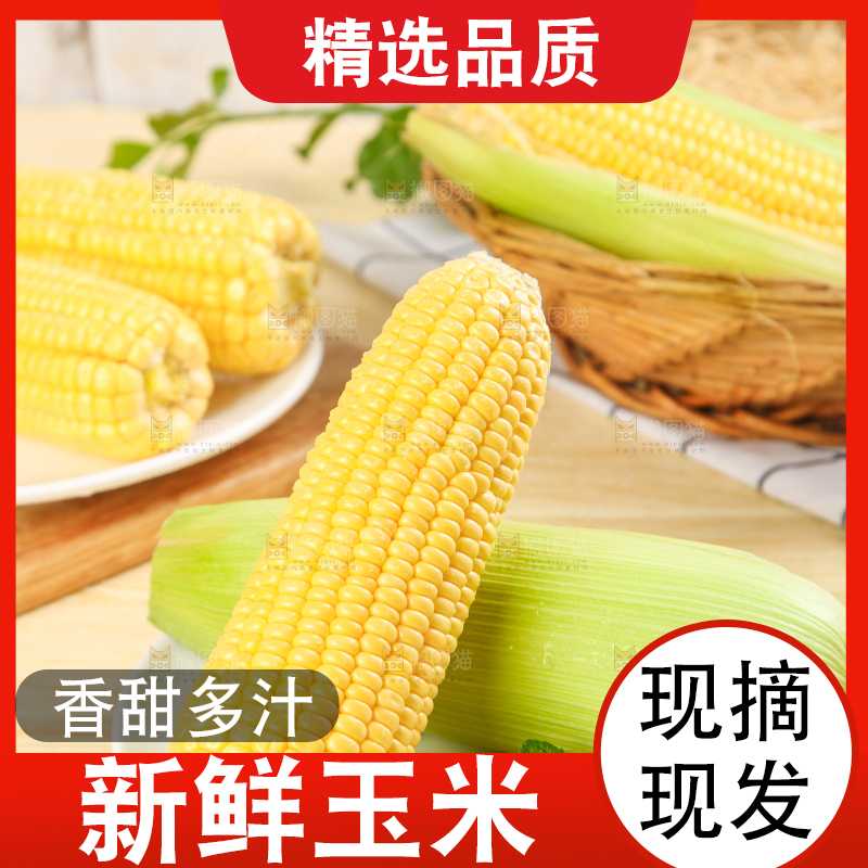 盘子里装着东北玉米