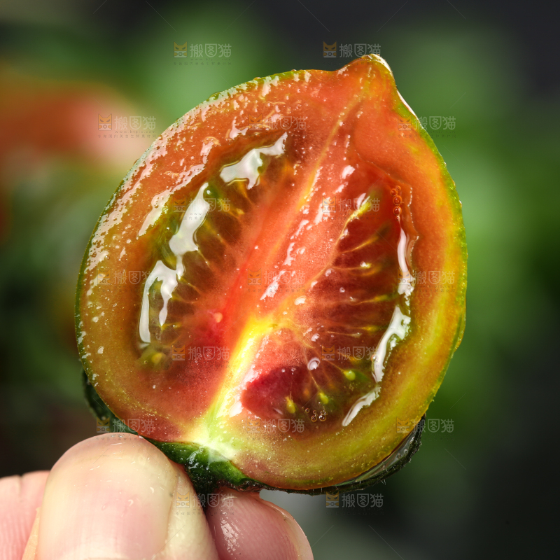 手拿切开的迷彩圣女果