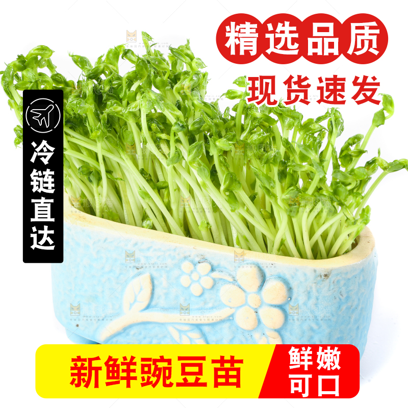 白底上放着豌豆芽菜