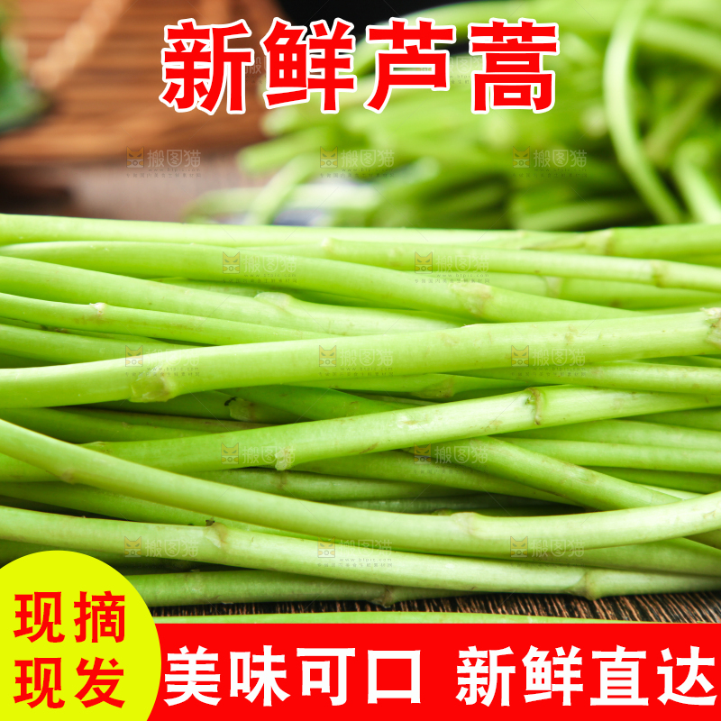 木底上的藜蒿