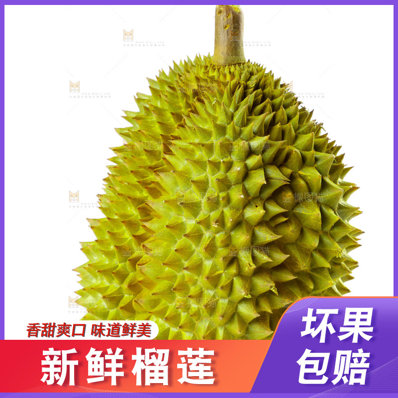 白底上的新鲜榴莲