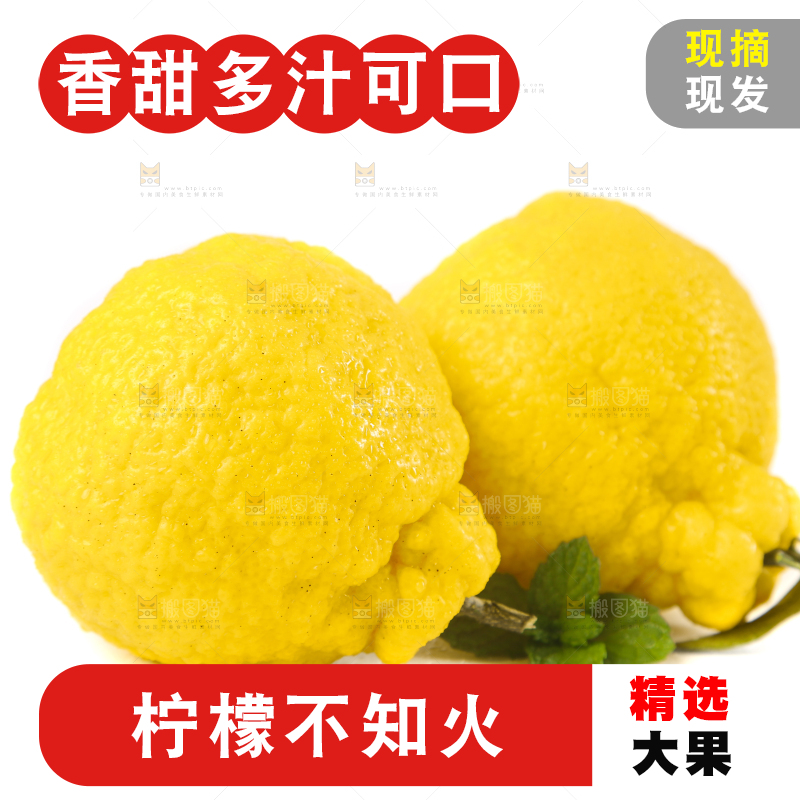 白底上放着四川柠檬不知火