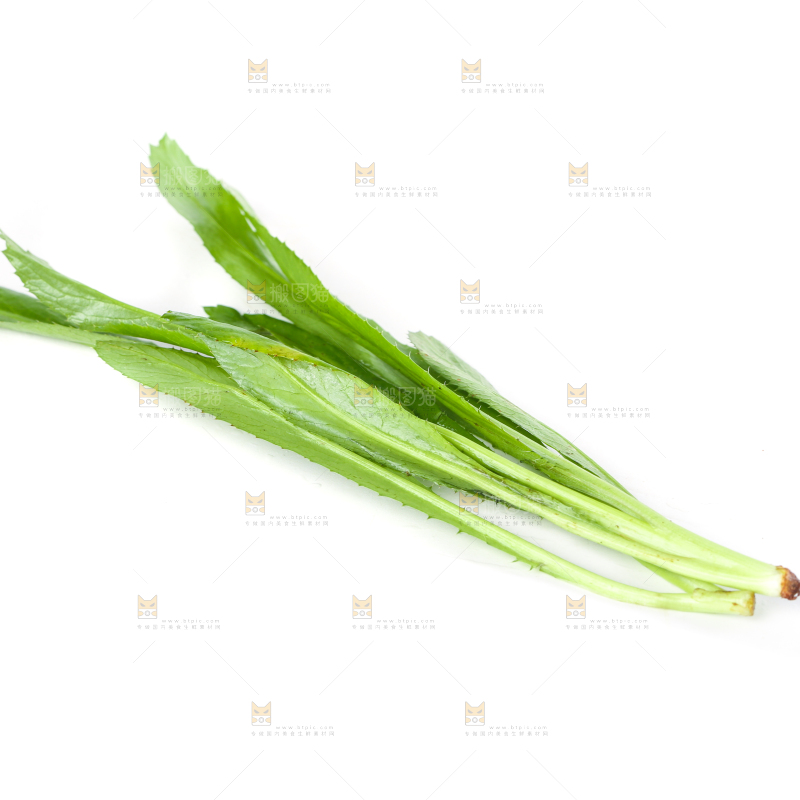 白底上的大香菜