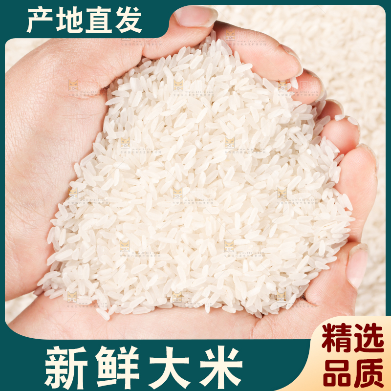 手拿长粒香米