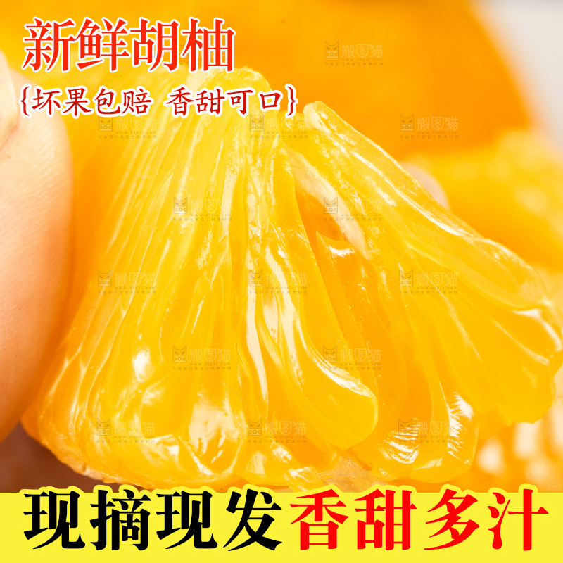 手里拿着新鲜胡柚