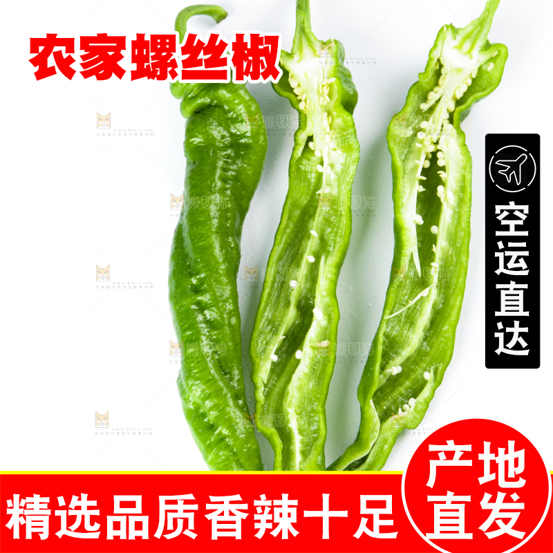 白底上摆放着青螺丝椒