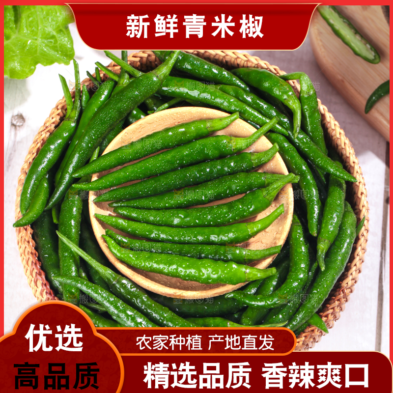 浅底上放着一筐青米椒