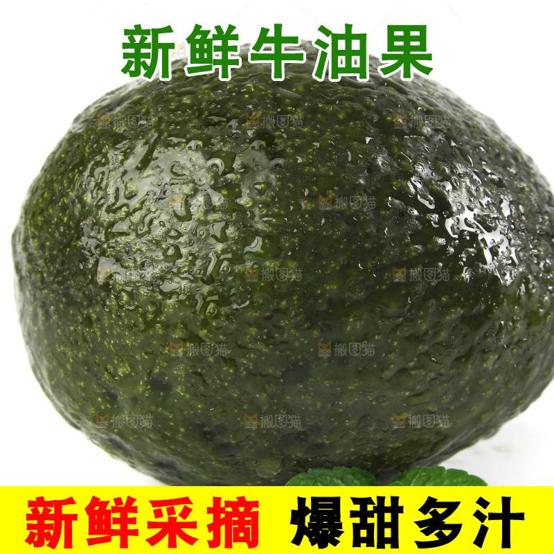 白底上放着新鲜牛油果