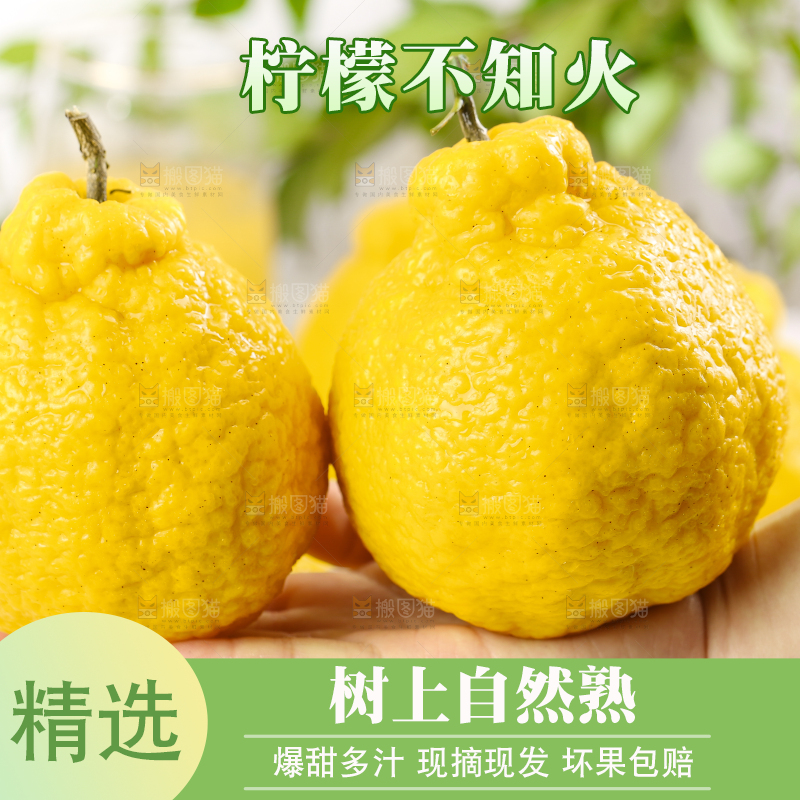 手里拿着不知火
