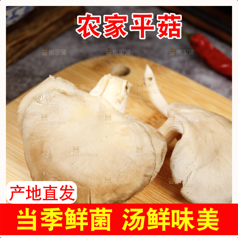 深底上的新鲜平菇